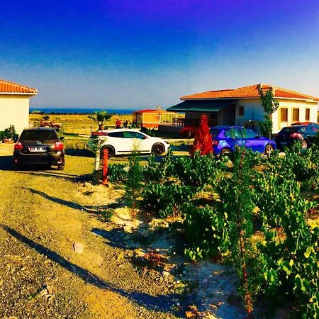 Karina Vineyard House בוזקאדה