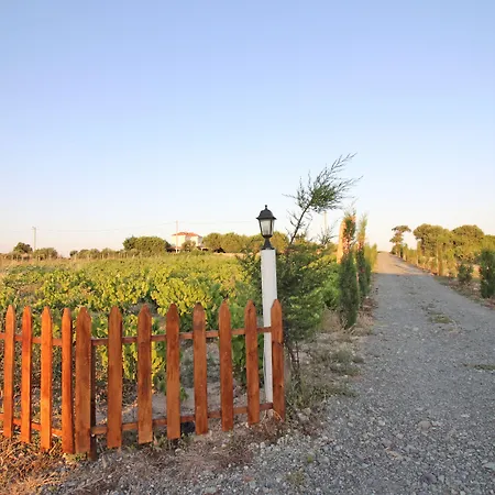 Karina Vineyard House בית כפרי בוזקאדה