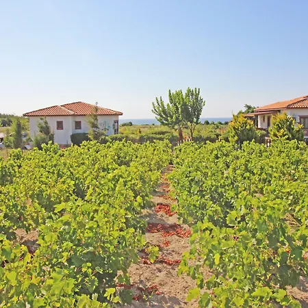 בית כפרי Karina Vineyard House