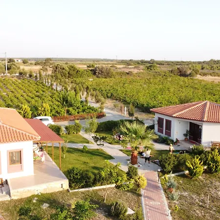 Karina Vineyard House