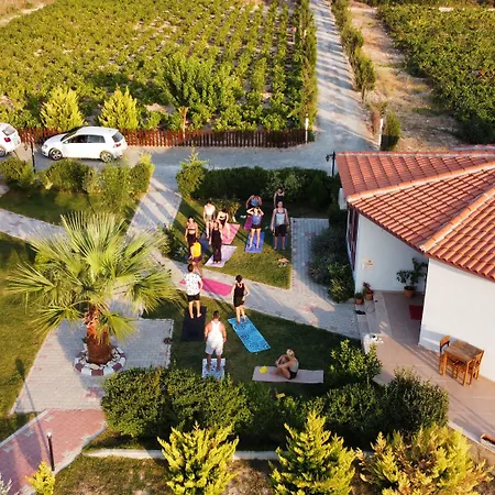 Karina Vineyard House בית כפרי *
