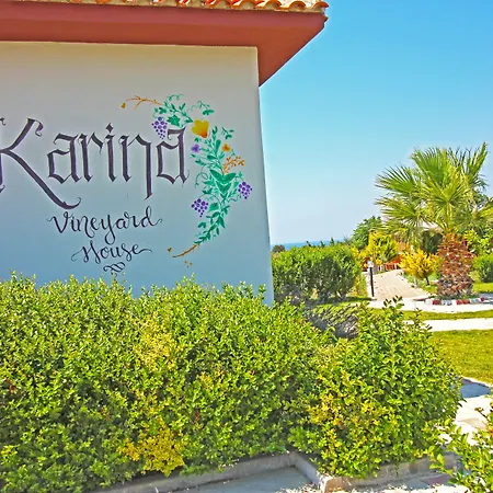 בית כפרי Karina Vineyard House