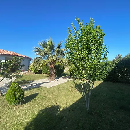 Karina Vineyard House