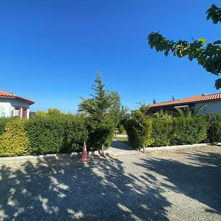 Karina Vineyard House